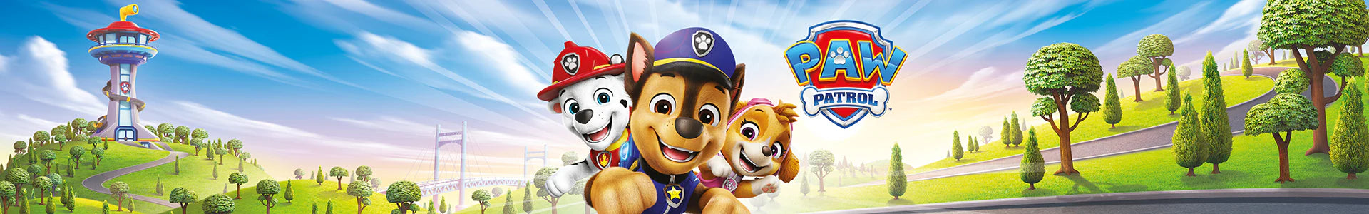 Paw Patrol Party Supplies Tableware Balloons Decorations