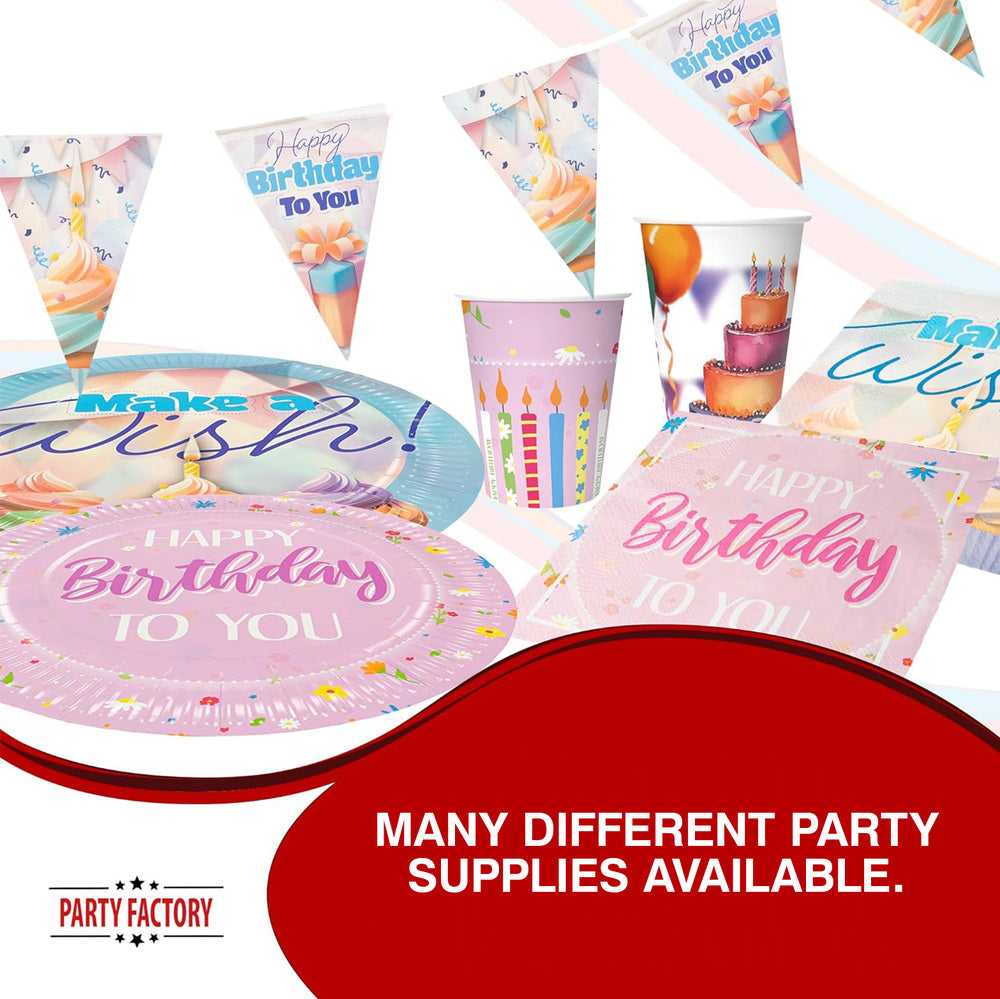 Paper plates Happy Birthday pink 9 in. 8 pack 5